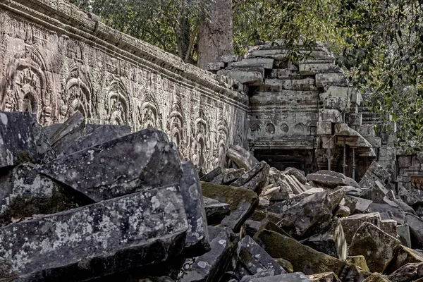 Prohm Tempel Angkor Wat — Stockfoto