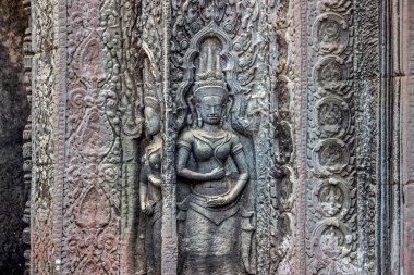 ta prohm Tapınağı'nda angkor wat