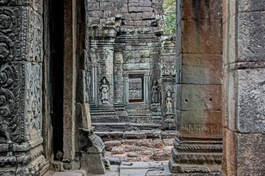 ta prohm Tapınağı'nda angkor wat