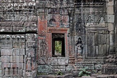 ta prohm Tapınağı'nda angkor wat