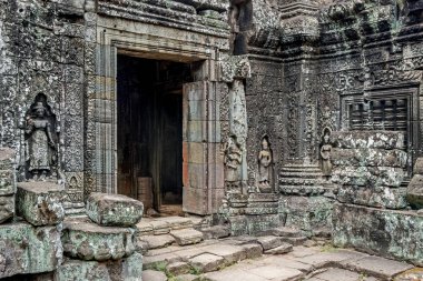 ta prohm Tapınağı'nda angkor wat
