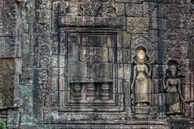 ta prohm Tapınağı'nda angkor wat
