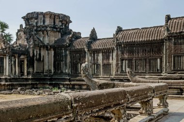 Kamboçya Angkor Wat tapınağının kalıntıları
