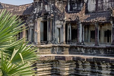 Kamboçya Angkor Wat tapınağının kalıntıları