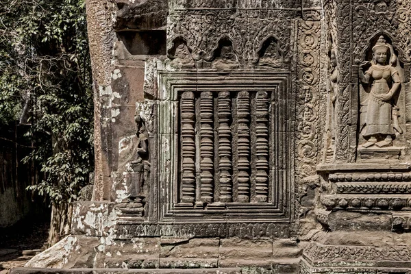 Prohm Templom Angkor Wat — Stock Fotó