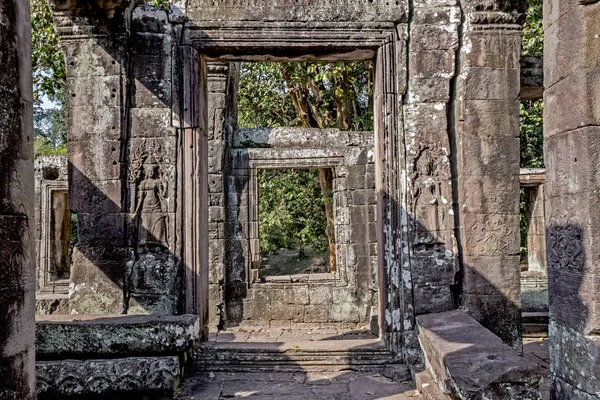Prohm Tempel Bei Angkor Wat — Stockfoto