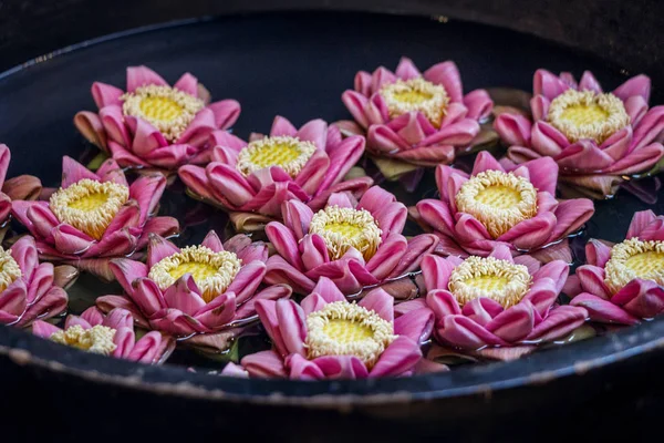 Flor Lótus Flutuando Água — Fotografia de Stock