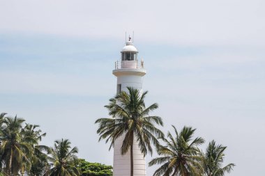 Gökyüzünde palmiye ağaçları ile Galle deniz feneri