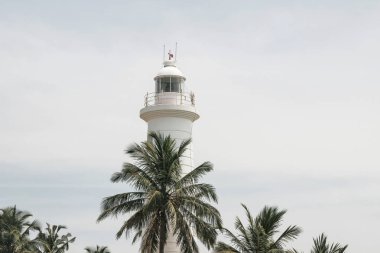 Gökyüzünde palmiye ağaçları ile Galle deniz feneri