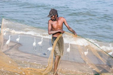 Negombo, Sri Lanka - 25 Şubat 2019: Negombo'daki plaj balık pazarında çalışan balıkçı