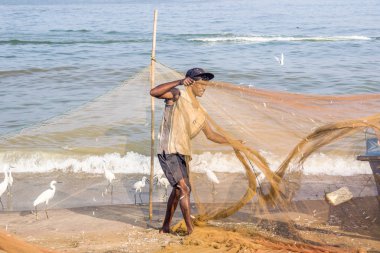 Negombo, Sri Lanka - 25 Şubat 2019: Negombo'daki plaj balık pazarında çalışan balıkçı