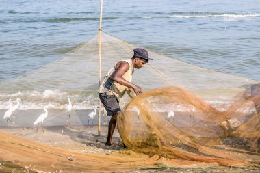 Negombo, Sri Lanka - 25 Şubat 2019: Negombo'daki plaj balık pazarında çalışan balıkçı