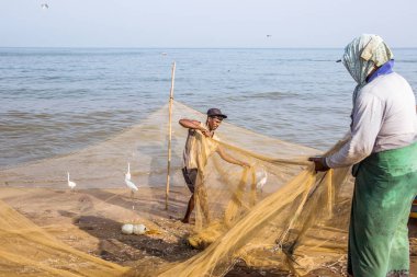 Negombo, Sri Lanka - 25 Şubat 2019: Negombo'daki plaj balık pazarında çalışan balıkçı