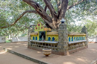 Sri Lanka Pidurangala Kayası altında tapınak 