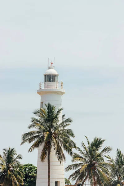 Galle Lighthouse Med Palmer Sky — Stockfoto