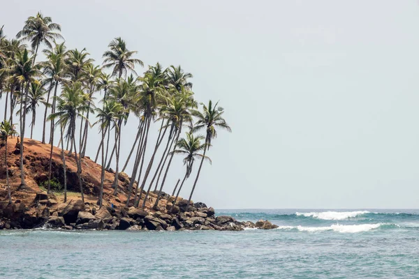 Havsutsikt Coconut Tree Hill — Stockfoto