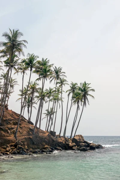 Вид Море Холме Кокосового Дерева — стоковое фото