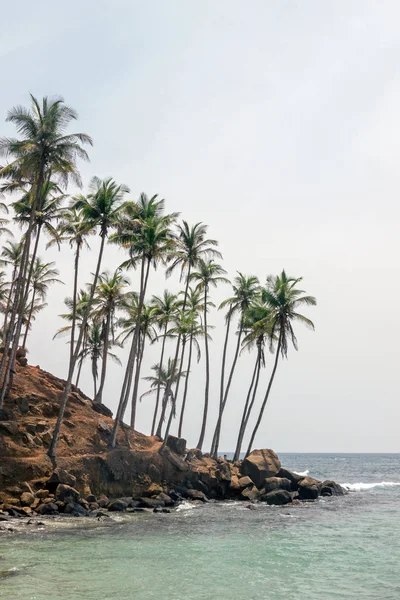 sea view at coconut tree hill