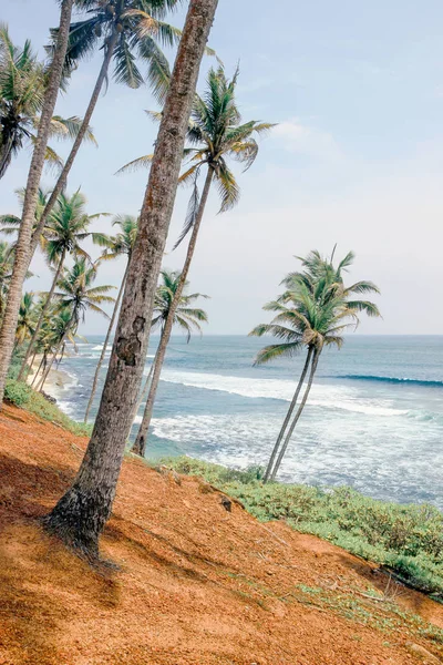 Havsutsikt Coconut Tree Hill — Stockfoto