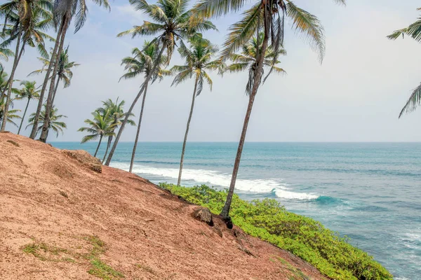 Havsutsikt Coconut Tree Hill — Stockfoto