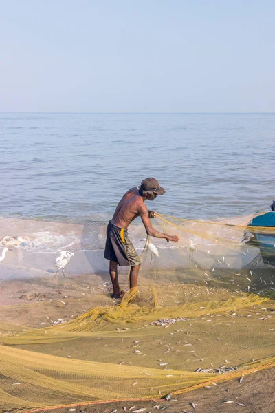 Negombo Sri Lanka Fevereiro 2019 Pescador Que Trabalha Mercado Peixes — Fotografia de Stock