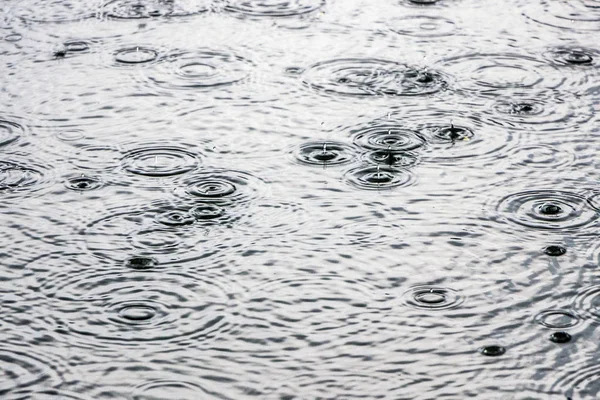 raindrops on water surface in lake