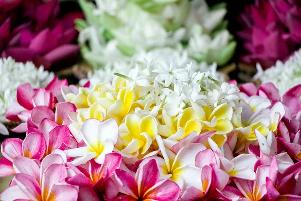 Flores Frescas Mercado Para Adoração — Fotografia de Stock