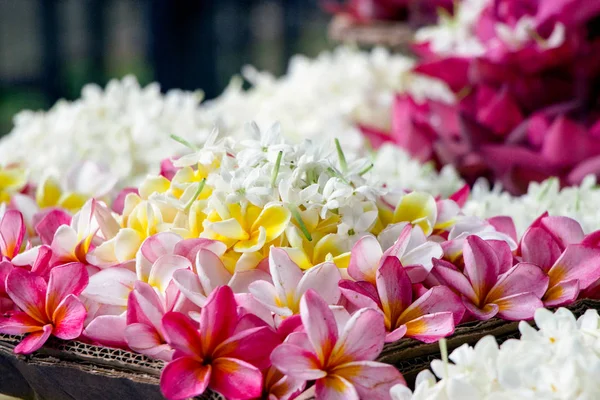 Fleurs Fraîches Marché Pour Culte — Photo