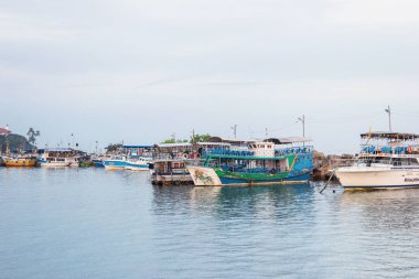 Mirissa, Sri Lanka - 01 Mart 2019: Mirissa sahilinde okyanusta balina izleme teknesi