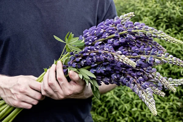man holding purple lupin flower bouquet