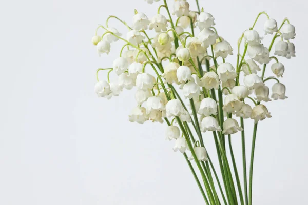 Lily Valley Flowers Bouquet White Background — Stock Photo, Image