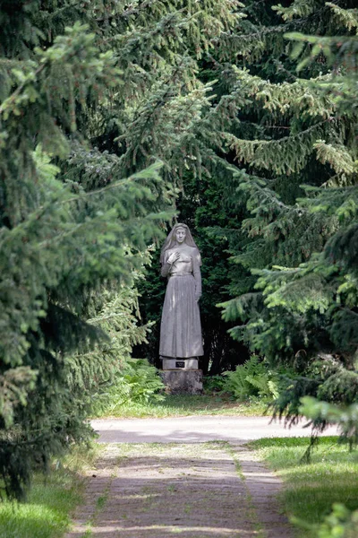 Socha Zelenými Rostlinami Parku Rottneros — Stock fotografie