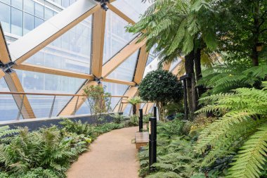 Modern kavşaktaki yeşil bitkiler Canary Wharf 'taki çatı bahçesinde 
