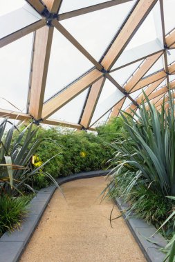 Modern kavşaktaki yeşil bitkiler Canary Wharf 'taki çatı bahçesinde 