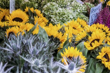 Londra 'daki Kolombiya Yolu çiçek pazarında çiçek ve bitkiler