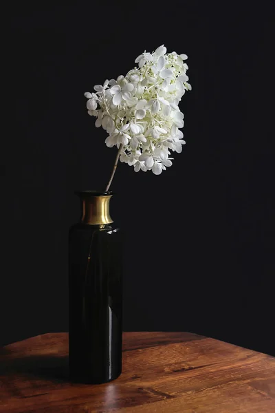 white hydrangea flower bouquet in vase with black background