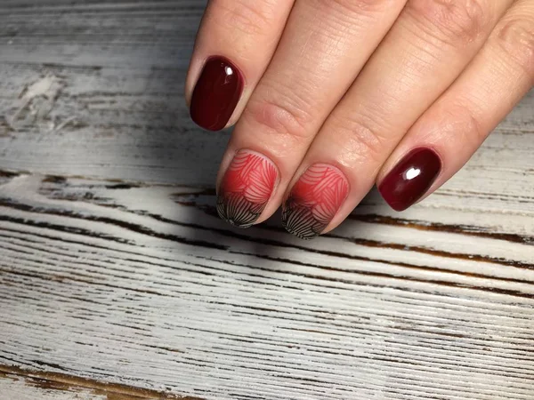 Modny Manicure Marsali Wzorem Gradientu — Zdjęcie stockowe