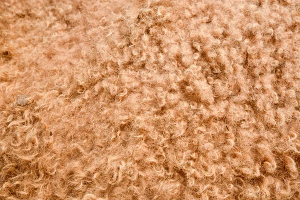 Camel hair — Stock Photo, Image