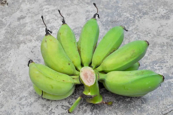 Aardappelen — Stockfoto