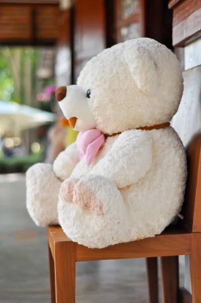 Teddy bear — Stockfoto