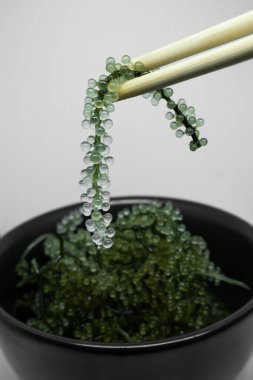 Kara kasede Deniz Üzümleri