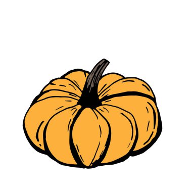 Beyaz arka plan üzerinde siyah anahat ile Olgun turuncu kabak, el