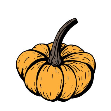 Beyaz arka plan üzerinde siyah anahat ile Turuncu kabak, basit ha