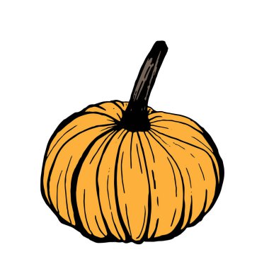 Turuncu kabak beyaz arka plan üzerinde siyah anahat ile, vektör yapmak