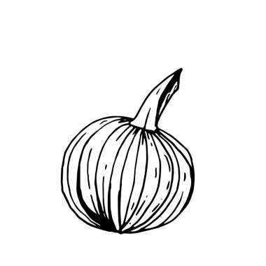 Beyaz arka planda basit siyah anahat doodle kabak.