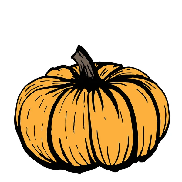 Beyaz arka plan üzerinde siyah anahat ile Turuncu kabak kabak, ve