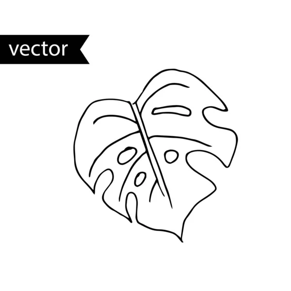 Illustration vectorielle des contours des plantes tropicales. Monste dessiné à la main — Image vectorielle