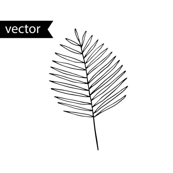 Illustrazione schematica vettoriale della pianta tropicale. Semplice nero e — Vettoriale Stock