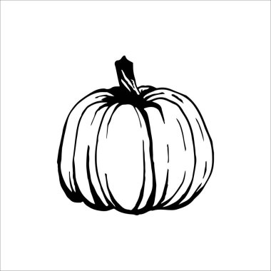 Beyaz arkaplanda izole edilmiş balkabağı kontur eli