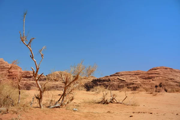 Wadi Rum Öknen Jordanien — Stockfoto